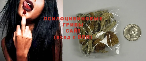 apvp Каменка