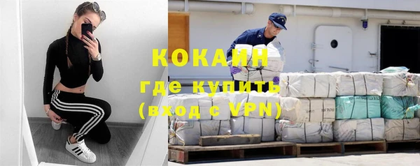 apvp Каменка