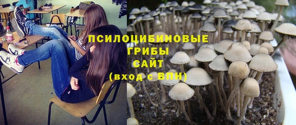 прущие крисы Няндома
